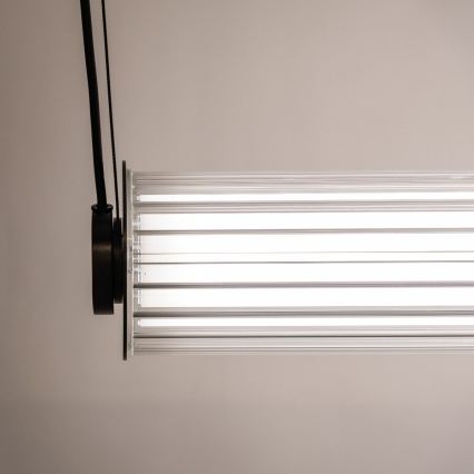 Zuma Line - LED luster na sajli s mogućnošću prigušivanja LED/39W/230V 2700-6500K crna + daljinski upravljač