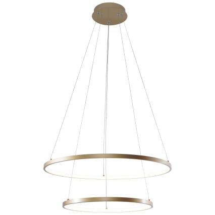 Zuma Line - LED Luster na sajli LED/50W/230V 3000/4000/6000K pr. 60 cm zlatna