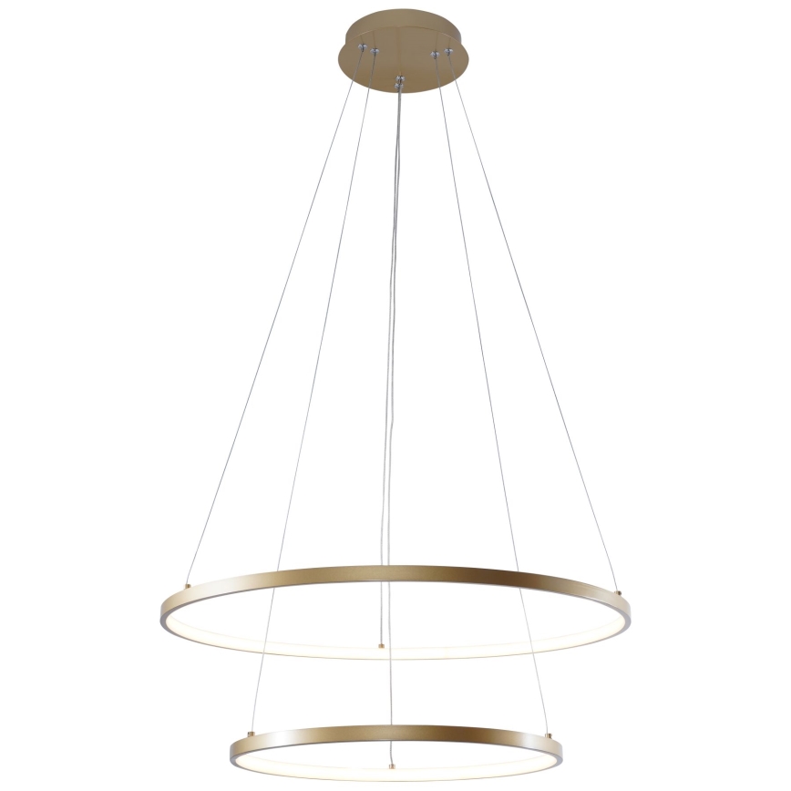 Zuma Line - LED luster na užetu LED/50W/230V 3000/4000/6000K promjer 60 cm zlatna