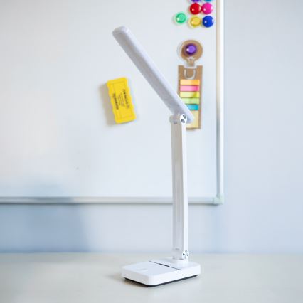Zuma Line - LED Punjiva stolna lampa LED/8W/1200 mAh 3000/4500/6000K CRI 90 bijela