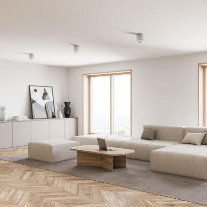 Zuma Line - LED RGBW spot svjetlo s mogućnošću dimiranja 1xGU10/4,8W/230V bijela + daljinski upravljač