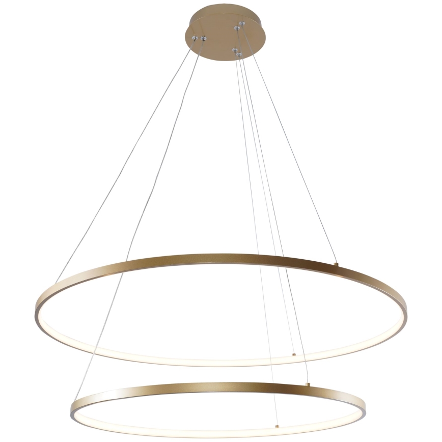 Zuma Line - LED Luster na sajli LED/60W/230V 3000/4000/6000K pr. 80 cm zlatna