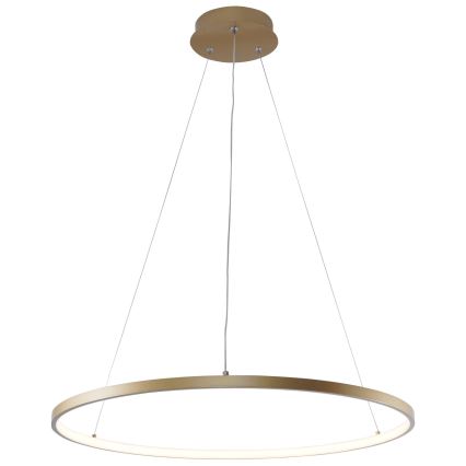 Zuma Line - LED Luster na sajli LED/28W/230V 3000/4000/6000K pr. 60 cm zlatna