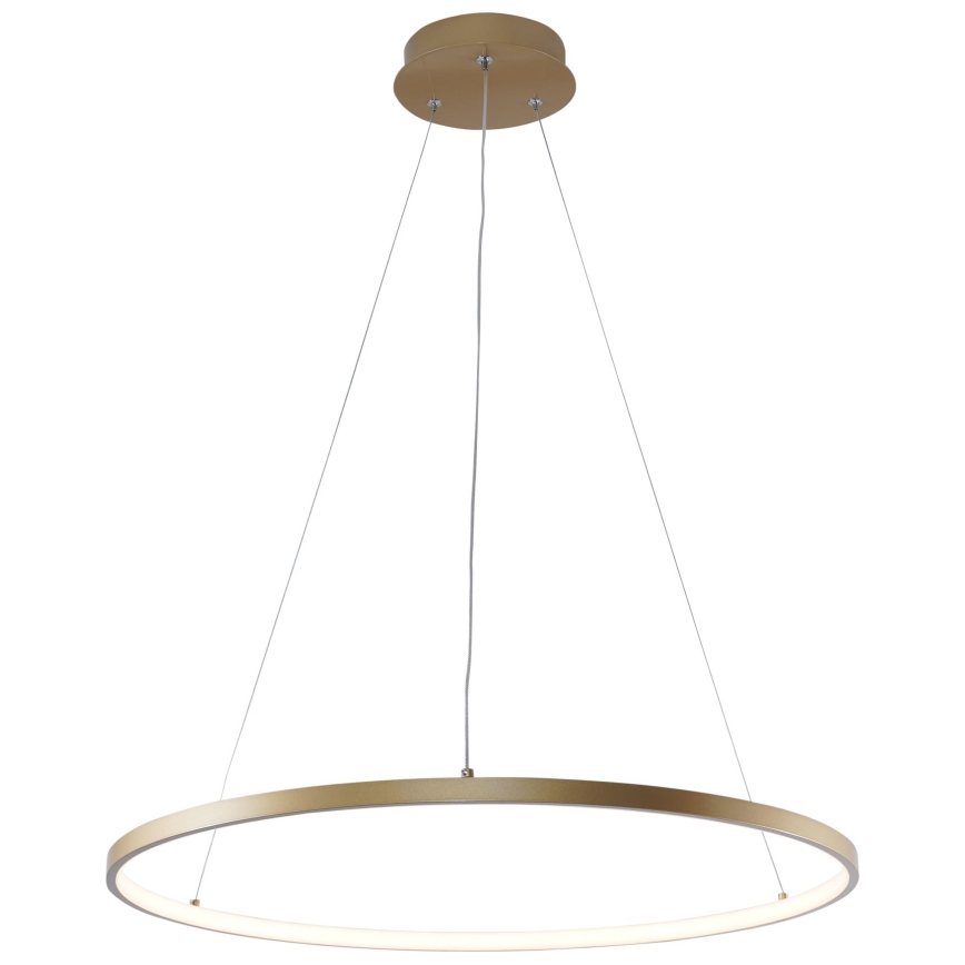 Zuma Line - LED Luster na sajli LED/28W/230V 3000/4000/6000K pr. 60 cm zlatna