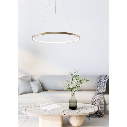Zuma Line - LED Luster na sajli LED/28W/230V 3000/4000/6000K pr. 60 cm zlatna
