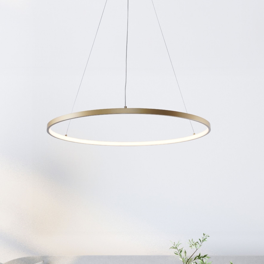 Zuma Line - LED Luster na sajli LED/28W/230V 3000/4000/6000K pr. 60 cm zlatna