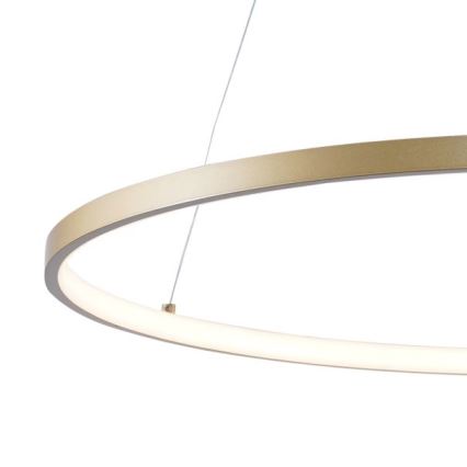 Zuma Line - LED Luster na sajli LED/28W/230V 3000/4000/6000K pr. 60 cm zlatna