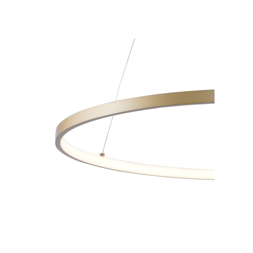 Zuma Line - LED Luster na sajli LED/28W/230V 3000/4000/6000K pr. 60 cm zlatna