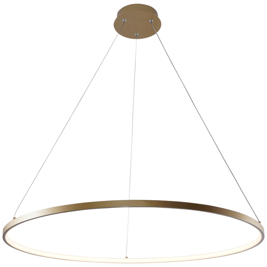 Zuma Line - LED luster na užetu LED/36W/230V 3000/4000/6000K promjer 80 cm zlatna
