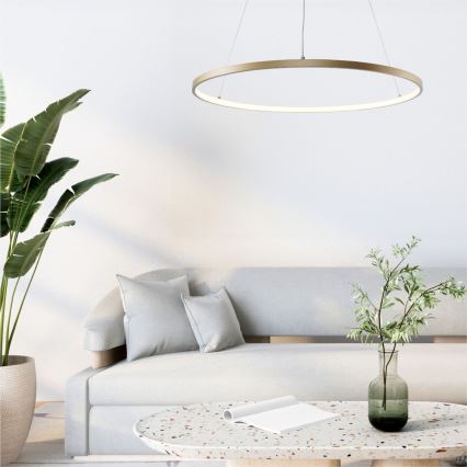 Zuma Line - LED luster na užetu LED/36W/230V 3000/4000/6000K promjer 80 cm zlatna