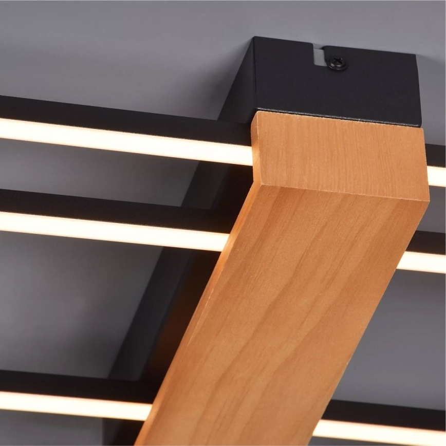 Zuma Line - LED Stropna svjetiljka LED/39W/230V 3000K crna/bor