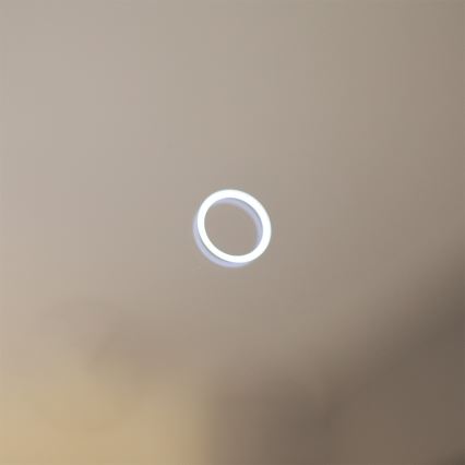 Zuma Line - LED zidno kupaonsko ogledalo s LED pozadinskim osvjetljenjem/24W/230V 3000/4000/6000K Ø 60 cm IP44