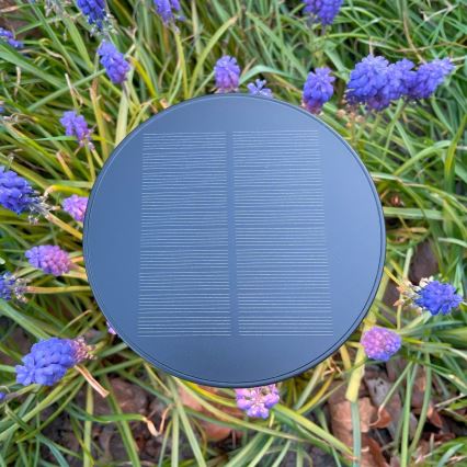 Zuma Line - LED Prigušiva solarna punjiva stolna lampa LED/2W/2000 mAh IP44 crna