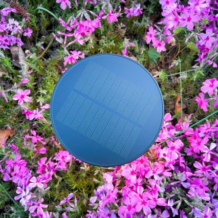 Zuma Line - LED Prigušiva solarna punjiva stolna lampa LED/2W/2000 mAh IP44 crna