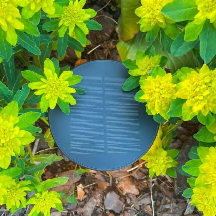 Zuma Line - LED Prigušiva solarna punjiva stolna lampa LED/2W/2000 mAh IP44 crna