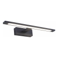 Zuma Line - LED kupaonska rasvjeta za ogledalo LED/12W/230V 41 cm IP44 crna