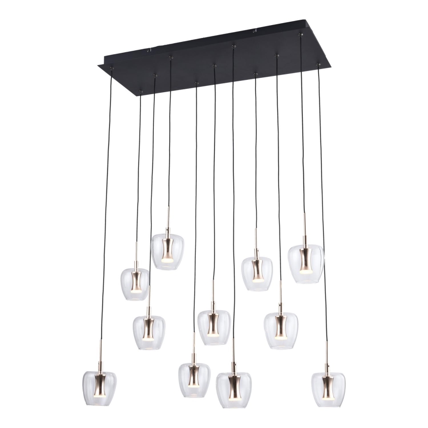 Zuma Line - LED luster na sajli 11xLED/3W/230V, crne boje