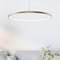 Zuma Line - LED luster na užetu LED/36W/230V 3000/4000/6000K promjer 80 cm zlatna
