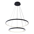 Zuma Line - LED luster na užetu LED/50W/230V 3000/4000/6000K promjer 60 cm crna