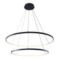Zuma Line - LED luster na užetu LED/60W/230V 3000/4000/6000K promjer 80 cm crna