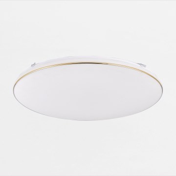 Zuma Line - LED Prigušiva stropna stropna svjetiljka OMAR LED/48W/230V pr. 53 cm zlatna