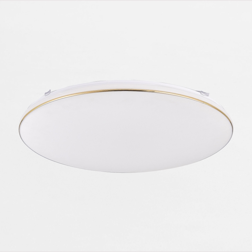 Zuma Line - LED Prigušiva stropna stropna svjetiljka OMAR LED/48W/230V pr. 53 cm zlatna