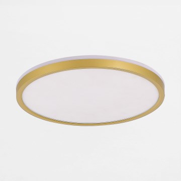 Zuma Line - LED Prigušiva stropna svjetiljka LED/26,5W/230V + LED/6,5W 3000/4000/5500K pr. 32 cm zlatna