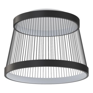 Zuma Line - LED Prigušiva stropna svjetiljka LED/32W/230V 2700-6000K crna + daljinski upravljač