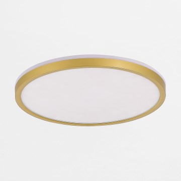 Zuma Line - LED Prigušiva stropna svjetiljka LED/38W/230V + LED/11W 3000/4000/5500K pr. 50 cm zlatna