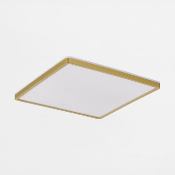 Zuma Line - LED Prigušiva stropna svjetiljka LED/38W/230V + LED/12W 3000/4000/5500K 40x40 cm zlatna