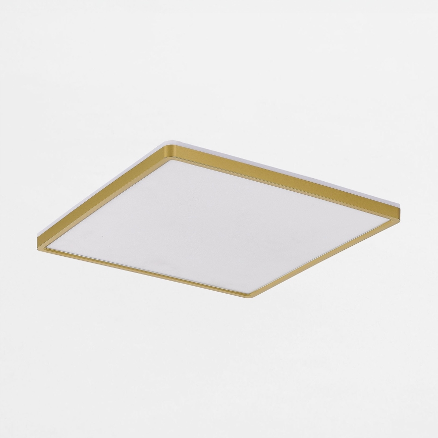 Zuma Line - LED Prigušiva stropna svjetiljka LED/38W/230V + LED/12W 3000/4000/5500K 40x40 cm zlatna
