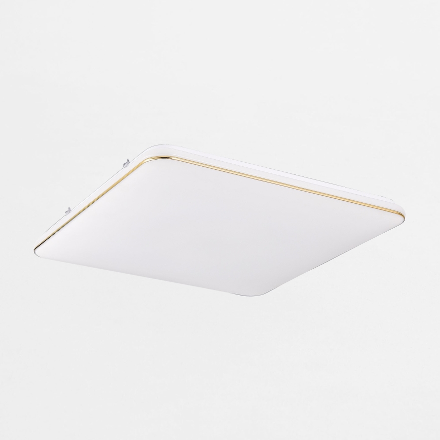 Zuma Line - LED Prigušiva stropna svjetiljka LED/48W/230V 53x53 cm zlatna