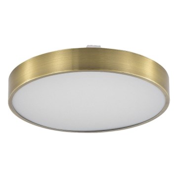 Zuma Line - LED Prigušiva stropna svjetiljka za kupaonicu LED/50W/230V 3000-6000K pr. 50 cm IP44 mesing + daljinski upravljač