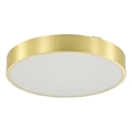 Zuma Line - LED Prigušiva stropna svjetiljka za kupaonicu LED/50W/230V 3000-6000K pr. 50 cm IP44 zlatna + daljinski upravljač