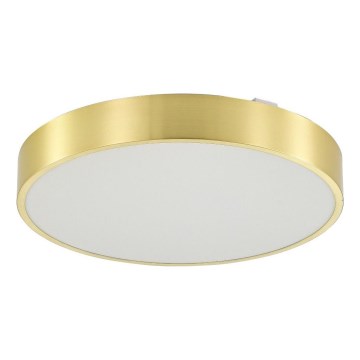 Zuma Line - LED Prigušiva stropna svjetiljka za kupaonicu LED/50W/230V 3000-6000K pr. 50 cm IP44 zlatna + daljinski upravljač