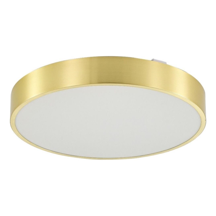 Zuma Line - LED Prigušiva stropna svjetiljka za kupaonicu LED/50W/230V 3000-6000K pr. 50 cm IP44 zlatna + daljinski upravljač