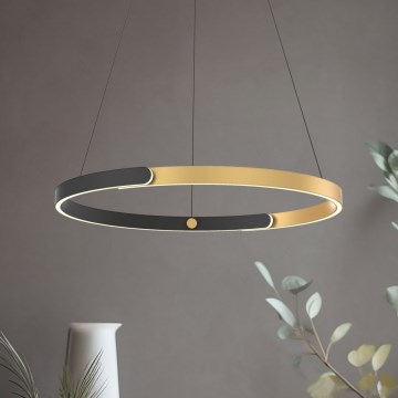 Zuma Line - LED prigušivački luster na užetu LED/30W/230V crna/zlatna
