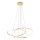 Zuma Line - LED Prigušivi luster na sajli LED/56W/230V zlatna