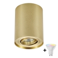 Zuma Line - LED RGBW prigušivo usmjereno svjetlo 1xGU10/4,8W/230V zlatno + daljinski upravljač