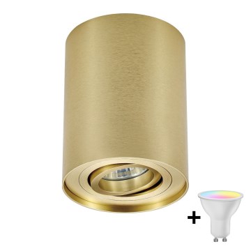 Zuma Line - LED RGBW prigušivo usmjereno svjetlo 1xGU10/4,8W/230V zlatno + daljinski upravljač