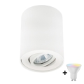 Zuma Line - LED RGBW spot svjetlo s mogućnošću dimiranja 1xGU10/4,8W/230V bijela + daljinski upravljač