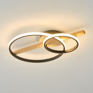 Zuma Line - LED stropna lampa s mogućnošću prigušivanja svjetla LED/17W/230V