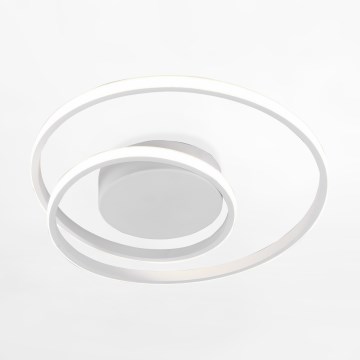 Zuma Line - LED Stropna svjetiljka LED/22W/230V bijela