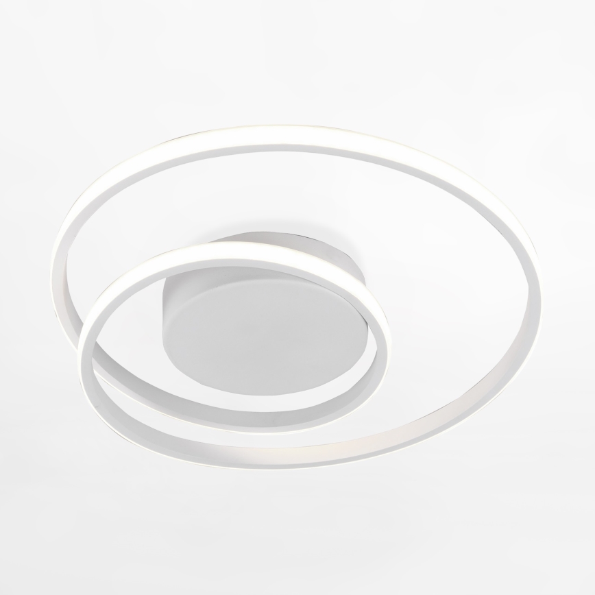 Zuma Line - LED Stropna svjetiljka LED/22W/230V bijela