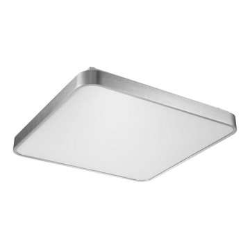 Zuma Line - LED Stropna svjetiljka LED/60W/230V sjajni krom