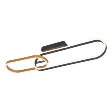 Zuma Line - LED stropno svjetlo 2xLED/24W/230V crna/zlatna