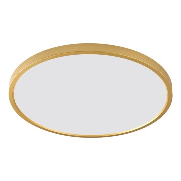Zuma Line - LED stropno svjetlo CAMI LED/36W/230V 3000/4000/6000K Ø 40 cm zlatno