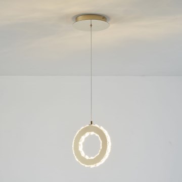 Zuma Line - LED Viseća svjetiljka na sajli s mogućnošću prigušivanja LED/10W/230V zlatna