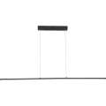 Zuma Line - LED viseći luster na sajli LED/20W/230V crna