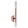 Zuma Line - LED Zidna lampa 2xLED/5W/230V rose gold